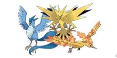 Pokemon Legendary Birds, Pokemon Wiki, Pokemon X And Y, Pokemon Red Blue, Pokemon Photo, Play Pokemon