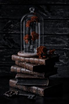 a stack of books with flowers under a glass dome