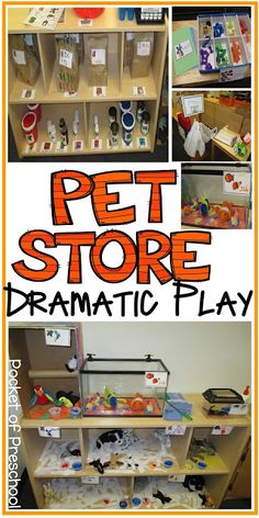 the pet store dramatic play includes toys, books, and games to help kids learn how to use them