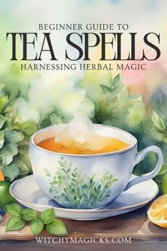 a painting of a tea cup and saucer with the title, beginner guide to tea spells harnessing herb magic