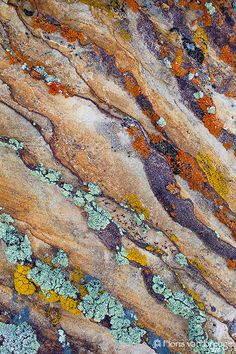 colorful rocks with lichens and moss growing on them are seen in this image