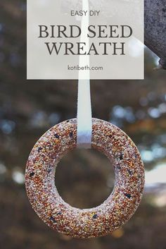 a bird seed wreath hanging from a tree with the words easy diy bird seed wreath