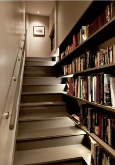 the stairs are lined with books and there is also a book case full of books