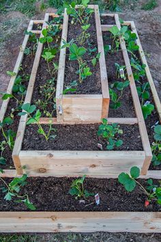 the garden is ready to be planted and put into the ground with wooden boards on each side