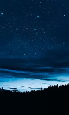 the night sky is full of stars and trees