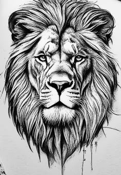 a black and white drawing of a lion