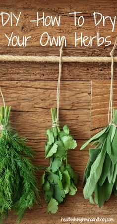 herbs hanging on a wall with the words diy how to dry your own herbs