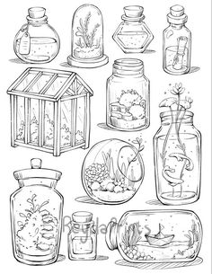 an ink drawing of various jars with plants and animals in them, including one that has a