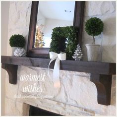 a fireplace mantle decorated with potted plants and a mirror