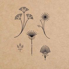 an image of dandelions drawn in black ink on brown paper with white background