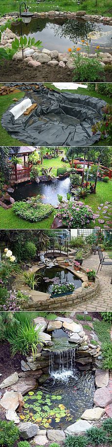 several different views of a garden with water and plants in it, including a pond