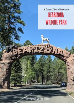 a dog is standing on top of a sign that says bearozna wildlife park