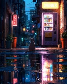 a cat is sitting on the street in front of a vending machine at night