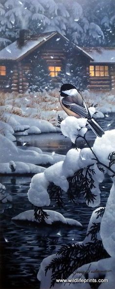 a painting of a bird perched on a branch in the snow next to a cabin