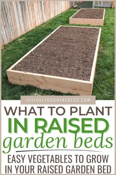 raised garden beds with text overlay that reads what to plant in raised gardens easy vegetables to grow in your raised garden bed