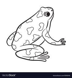 a frog with spots on it's body and legs