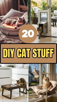 20 diy cat stuff ideas that are easy to make and fun for the cats