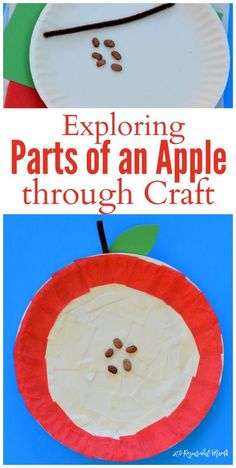 an apple paper plate craft with the words, exploring parts of an apple through craft