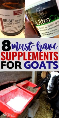 goats and goat milk with the words 8 must - have supplements for goats on them