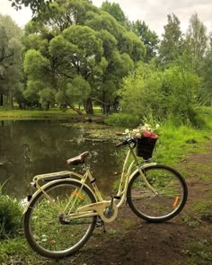 a bicycle parked next to a pond with flowers on the handlebars and basket