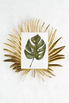 a green leaf is mounted on a white wall