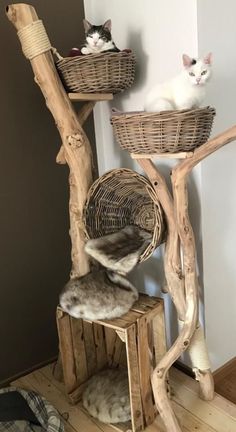 two cats are sitting in baskets on top of a tree branch stand that is made out of wood