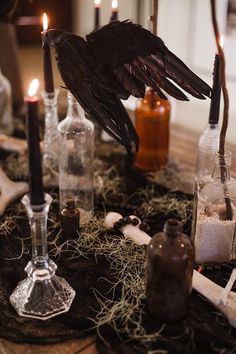 a table topped with lots of bottles filled with candles and some birds sitting on top of it