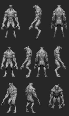 the various poses and body shapes of a creature