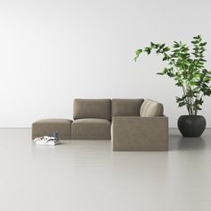 a couch sitting next to a potted plant on top of a white floor in an empty room