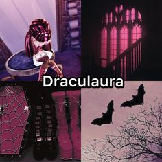 there are pictures of bats and shoes in draculaa's house with the caption draculaa