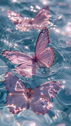 two pink butterflies floating in the water