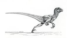 a drawing of a dinosaur running on the ground