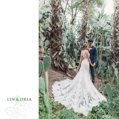 a bride and groom standing in front of cacti