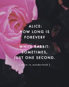 a pink rose with the quote alice how long is forever? white rabbit sometimes just one second