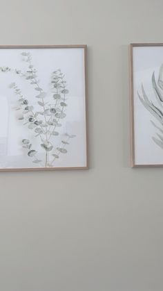 two framed pictures hanging on the wall next to each other, one with a plant in it