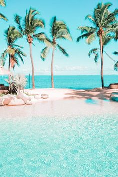 the beach is surrounded by palm trees and clear blue water, with an umbrella over it