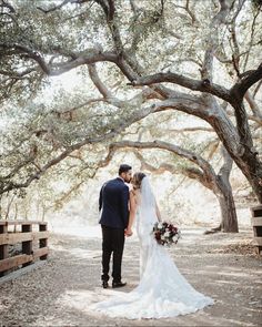 a bride and groom standing in front of an oak tree lined path at their wedding