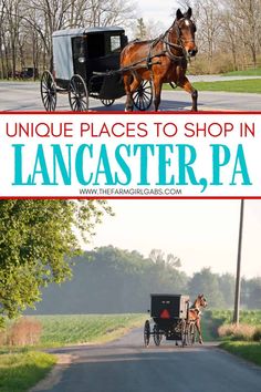 a horse and buggy traveling down a road with the words unique places to shop in lancaster, pa