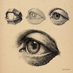 four different types of eyes are shown in this drawing