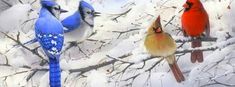 three colorful birds are perched on the branches of a tree in the snow and one is red, white and blue