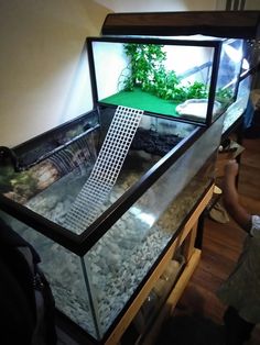 a fish tank filled with rocks and water next to a person holding a cell phone