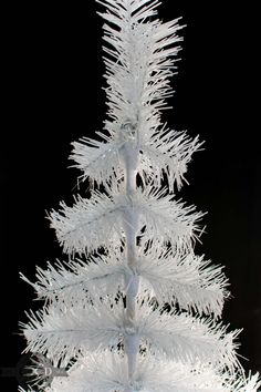 a white christmas tree with frosted branches on it's top and bottom part