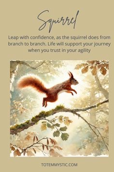 a squirrel is sitting on top of a tree branch with the caption saying, squirrel leap