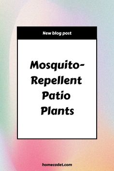 the cover of mosquito repellent patio plants