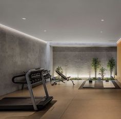 an exercise room with treadmills and plants