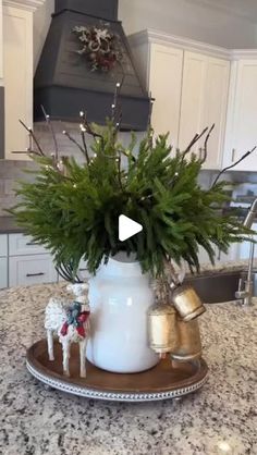 a potted plant sitting on top of a wooden tray next to a stovetop