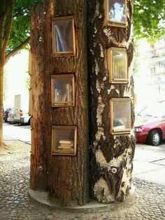 a tree that has been carved into the side of it's trunk with pictures on it