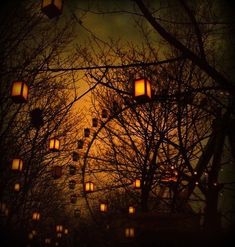 many lanterns are lit up in the night sky above some trees and branches with no leaves on them