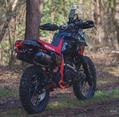 a red and black dirt bike parked in the middle of a forest with trees behind it