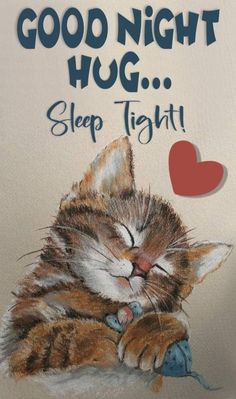 a drawing of a cat sleeping with its eyes closed and the words good night hug sleep tight